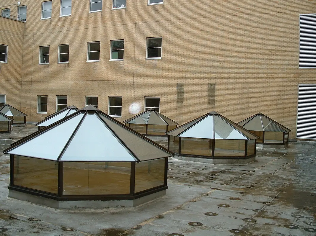 Flat Roof Skylights Bethnal Green